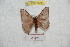  ( - BC-RBP 9705)  @13 [ ] Copyright (2015) Ron Brechlin Research Collection of Ron Brechlin