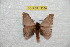  ( - BC-RBP 12380)  @11 [ ] copyright (2022) Ron Brechlin Research Collection of Ron Brechlin