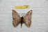  ( - BC-RBP 12381)  @11 [ ] copyright (2022) Ron Brechlin Research Collection of Ron Brechlin