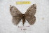  ( - BC-RBP 9717)  @12 [ ] Copyright (2015) Ron Brechlin Research Collection of Ron Brechlin