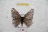  ( - BC-RBP 9749)  @13 [ ] Copyright (2015) Ron Brechlin Research Collection of Ron Brechlin