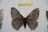  ( - BC-RBP 9757)  @14 [ ] Copyright (2015) Ron Brechlin Research Collection of Ron Brechlin