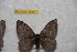  ( - BC-RBP 9761)  @12 [ ] Copyright (2015) Ron Brechlin Research Collection of Ron Brechlin