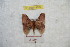  ( - BC-RBP 9762)  @12 [ ] Copyright (2015) Ron Brechlin Research Collection of Ron Brechlin