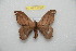  ( - BC-RBP 12391)  @11 [ ] copyright (2022) Ron Brechlin Research Collection of Ron Brechlin