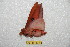  ( - BC-RBP 12408)  @11 [ ] copyright (2022) Ron Brechlin Research Collection of Ron Brechlin