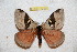  ( - BC-RBP 12474)  @11 [ ] copyright (2022) Ron Brechlin Research Collection of Ron Brechlin