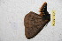  ( - BC-RBP 12511)  @11 [ ] copyright (2022) Ron Brechlin Research Collection of Ron Brechlin
