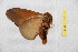  ( - BC-RBP 12530)  @11 [ ] copyright (2022) Ron Brechlin Research Collection of Ron Brechlin