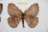  ( - BC-RBP 12553)  @11 [ ] copyright (2022) Ron Brechlin Research Collection of Ron Brechlin