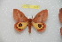  ( - BC-RBP 12558)  @11 [ ] copyright (2022) Ron Brechlin Research Collection of Ron Brechlin
