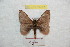  ( - BC-RBP 9777)  @13 [ ] Copyright (2015) Ron Brechlin Research Collection of Ron Brechlin