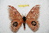  ( - BC-RBP 12579)  @11 [ ] copyright (2022) Ron Brechlin Research Collection of Ron Brechlin