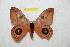  ( - BC-RBP 12581)  @11 [ ] copyright (2022) Ron Brechlin Research Collection of Ron Brechlin