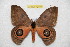  ( - BC-RBP 12599)  @11 [ ] copyright (2022) Ron Brechlin Research Collection of Ron Brechlin