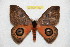  ( - BC-RBP 12604)  @11 [ ] copyright (2022) Ron Brechlin Research Collection of Ron Brechlin