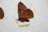  ( - BC-RBP 12621)  @11 [ ] copyright (2022) Ron Brechlin Research Collection of Ron Brechlin