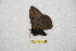  ( - BC-RBP 12622)  @11 [ ] copyright (2022) Ron Brechlin Research Collection of Ron Brechlin