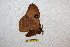  ( - BC-RBP 12649)  @11 [ ] copyright (2023) Ron Brechlin Research Collection of Ron Brechlin