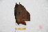  ( - BC-RBP 12660)  @11 [ ] copyright (2023) Ron Brechlin Research Collection of Ron Brechlin