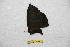  ( - BC-RBP 12667)  @11 [ ] copyright (2023) Ron Brechlin Research Collection of Ron Brechlin