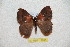  ( - BC-RBP 12695)  @11 [ ] copyright (2023) Ron Brechlin Research Collection of Ron Brechlin