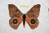  ( - BC-RBP 12716)  @11 [ ] copyright (2023) Ron Brechlin Research Collection of Ron Brechlin