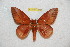  ( - BC-RBP 12767)  @11 [ ] copyright (2023) Ron Brechlin Research Collection of Ron Brechlin