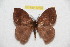  ( - BC-RBP 12788)  @11 [ ] copyright (2023) Ron Brechlin Research Collection of Ron Brechlin
