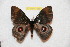  ( - BC-RBP 12807)  @11 [ ] copyright (2023) Ron Brechlin Research Collection of Ron Brechlin