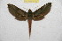 ( - BC-RBP 9793)  @11 [ ] Copyright (2015) Ron Brechlin Research Collection of Ron Brechlin