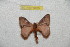  ( - BC-RBP 9825)  @13 [ ] Copyright (2015) Ron Brechlin Research Collection of Ron Brechlin