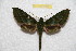  ( - BC-RBP 9840)  @13 [ ] Copyright (2015) Ron Brechlin Research Collection of Ron Brechlin