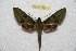  ( - BC-RBP 9841)  @13 [ ] Copyright (2015) Ron Brechlin Research Collection of Ron Brechlin