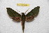  ( - BC-RBP 9844)  @13 [ ] Copyright (2015) Ron Brechlin Research Collection of Ron Brechlin