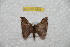  ( - BC-RBP 9858)  @12 [ ] Copyright (2015) Ron Brechlin Research Collection of Ron Brechlin