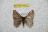  ( - BC-RBP 9859)  @12 [ ] Copyright (2015) Ron Brechlin Research Collection of Ron Brechlin