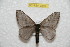  ( - BC-RBP 9860)  @14 [ ] Copyright (2015) Ron Brechlin Research Collection of Ron Brechlin