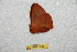  ( - BC-RBP 9868)  @11 [ ] Copyright (2015) Ron Brechlin Research Collection of Ron Brechlin