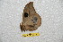  ( - BC-RBP 9871)  @13 [ ] Copyright (2015) Ron Brechlin Research Collection of Ron Brechlin