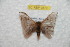  ( - BC-RBP 9879)  @13 [ ] Copyright (2015) Ron Brechlin Research Collection of Ron Brechlin