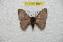  ( - BC-RBP 9895)  @13 [ ] Copyright (2016) Ron Brechlin Research Collection of Ron Brechlin