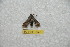  ( - BC-RBP 9940)  @12 [ ] Copyright (2016) Ron Brechlin Research Collection of Ron Brechlin