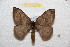  ( - BC-RBP 9969)  @11 [ ] Copyright (2016) Ron Brechlin Research Collection of Ron Brechlin