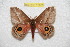  ( - BC-RBP 10006)  @14 [ ] Copyright (2016) Ron Brechlin Research Collection of Ron Brechlin