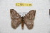  ( - BC-RBP 10019)  @14 [ ] Copyright (2016) Ron Brechlin Research Collection of Ron Brechlin