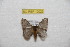  ( - BC-RBP 10023)  @11 [ ] Copyright (2016) Ron Brechlin Research Collection of Ron Brechlin