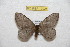 ( - BC-RBP 10025)  @14 [ ] Copyright (2016) Ron Brechlin Research Collection of Ron Brechlin