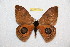  ( - BC-RBP12824)  @11 [ ] copyright (2024) Ron Brechlin Research Collection of Ron Brechlin