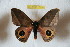 ( - BC-RBP 10050)  @14 [ ] Copyright (2016) Ron Brechlin Research Collection of Ron Brechlin